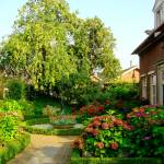 Macharen | Locatie 78