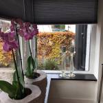 Oisterwijk | Locatie 45