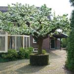 Ophemert | Locatie 63