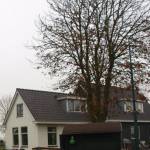 Cabauw | Locatie 153