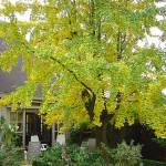 Macharen | Locatie 78